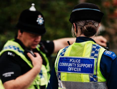Understanding PCSO powers: 1 The role of the PCSO .